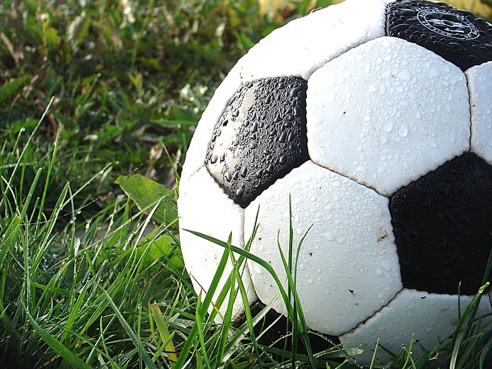 Soccer Ball on the Grass